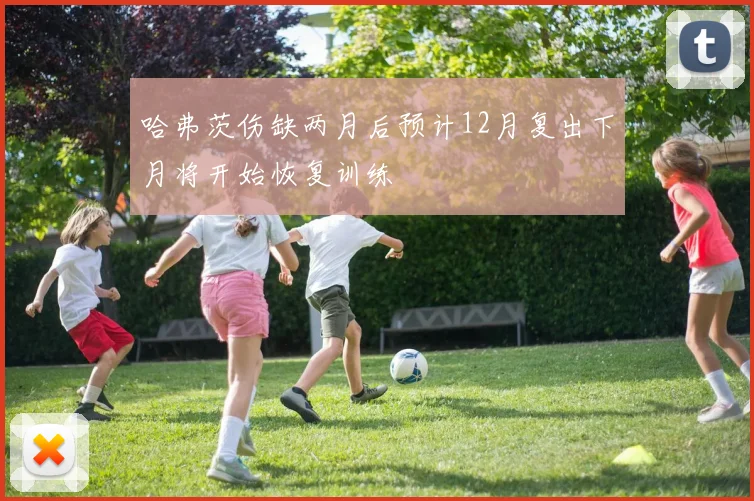 哈弗茨伤缺两月后预计12月复出下月将开始恢复训练