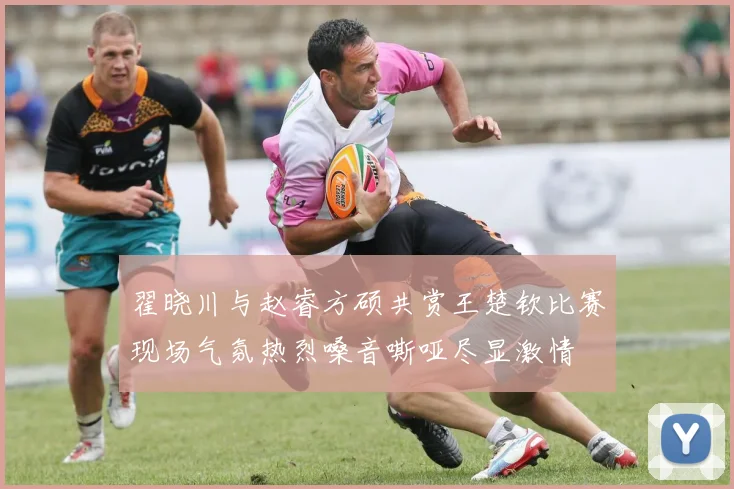 翟晓川与赵睿方硕共赏王楚钦比赛现场气氛热烈嗓音嘶哑尽显激情
