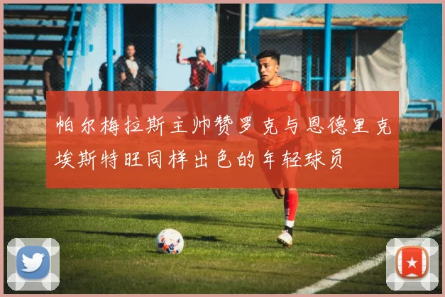 帕尔梅拉斯主帅赞罗克与恩德里克埃斯特旺同样出色的年轻球员