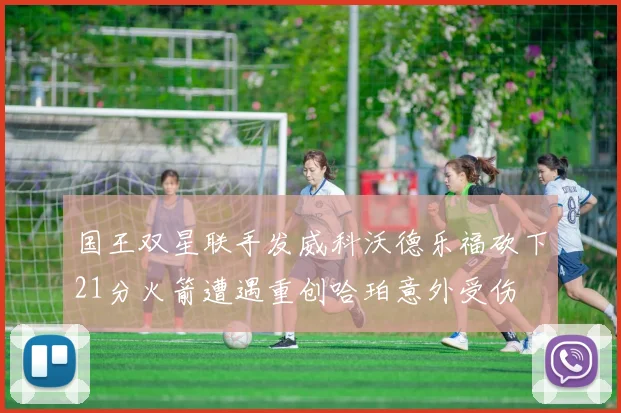 国王双星联手发威科沃德乐福砍下21分火箭遭遇重创哈珀意外受伤